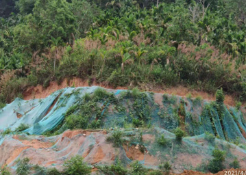 ˮ���ֳ���Ƭ