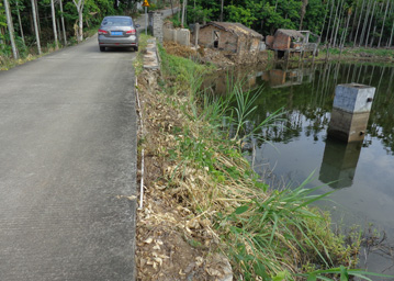 ˮ���ֳ���Ƭ