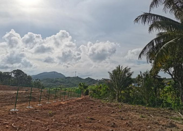 ˮ���ֳ���Ƭ