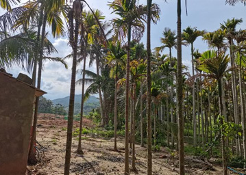 ˮ���ֳ���Ƭ