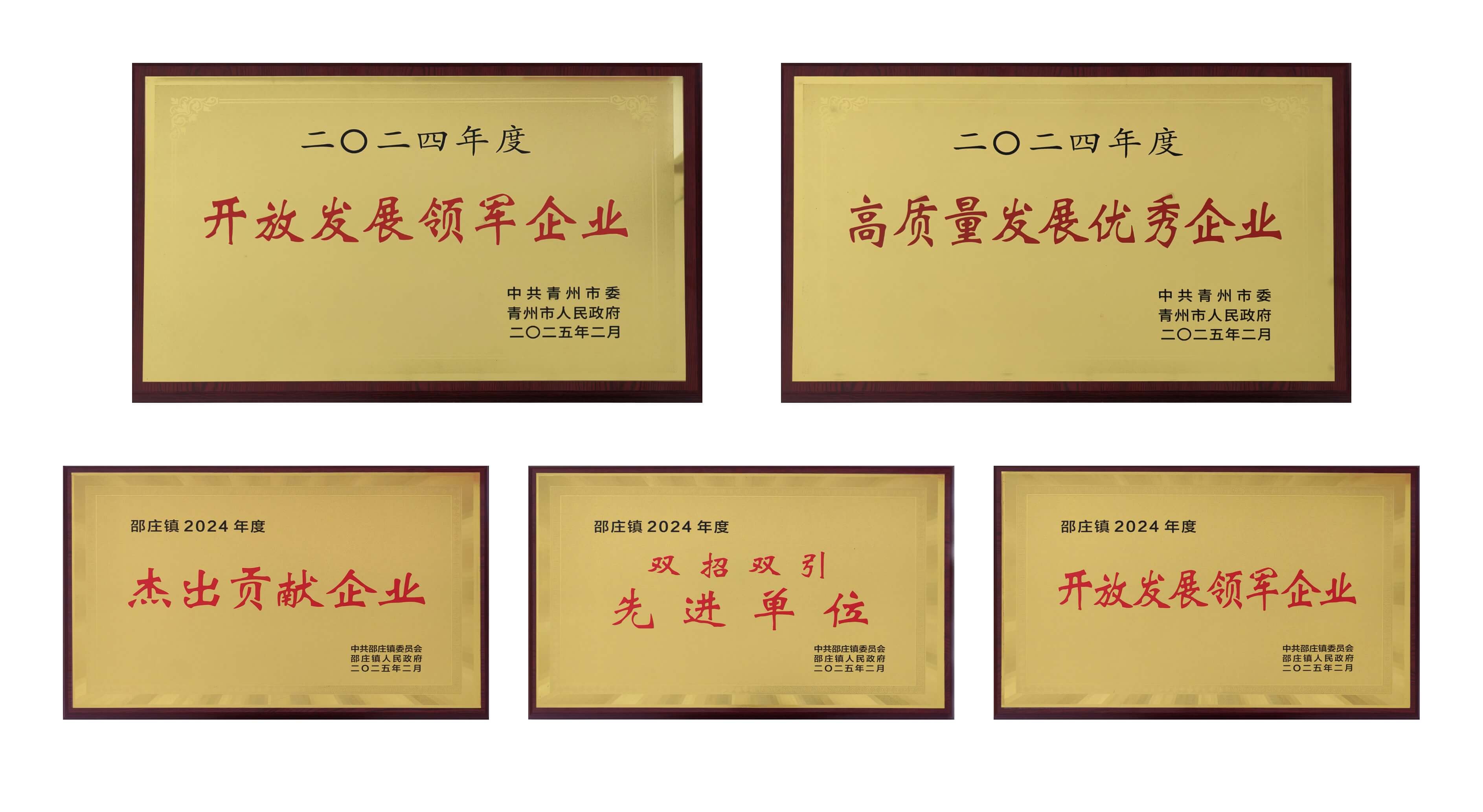 山东游艇会yth206医疗荣获多项殊荣
